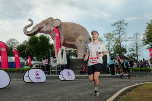 BIB: 
                            <button type="button" onclick="openModal(26528919)" class="btn btn-primary btn-sm float-right btn-popup" data-toggle="modal" data-target=".modal-high-quality">
                        <i class="fas fa-shopping-cart"></i> Add to Cart
                    </button>
                                            <button type="button" onclick="isThisMe(26528919, true)" class="btn btn-success btn-sm float-right btn-popup btn-isme hidden" data-toggle="tooltip" data-placement="bottom" title="นี่คือรูปของคุณใช่ไหม คลิกที่นี่เพื่อเอาเข้าอัลบั้ม">
                        <i class="fas fa-plus"></i> Add to album
                    </button>
                    <button type="button" onclick="isThisMe(26528919, false)" class="btn btn-warning btn-sm float-right btn-popup btn-isnotme hidden">
                        <i class="fas fa-ban"></i> Remove from album
                    </button>